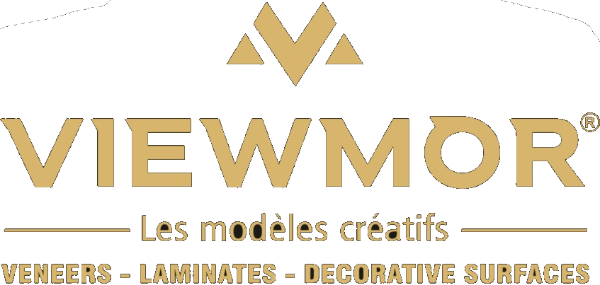 Viewmor logo